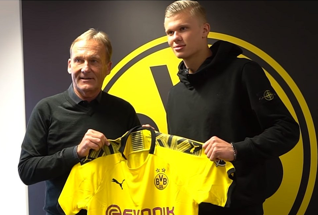 八届世界冠军领衔！2025世界帆船对抗巡回赛（WMRT）深圳·宝安总决赛暨世界湾区帆船赛扬帆在即（八届世界冠军领衔，2025 WMRT深圳·宝安总决赛暨世界湾区帆船赛即将启航）